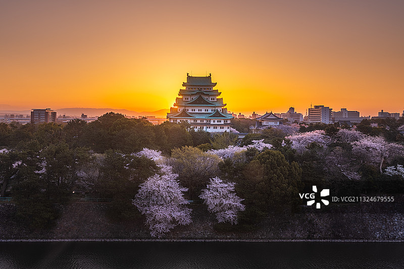 日本名古屋城樱花日出图片素材