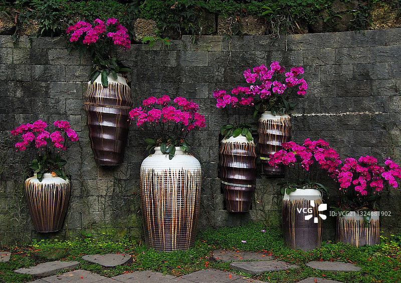 青秀山兰园图片素材