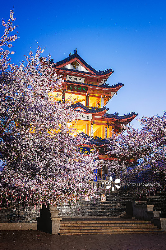 樱花盛开鼋头渚图片素材