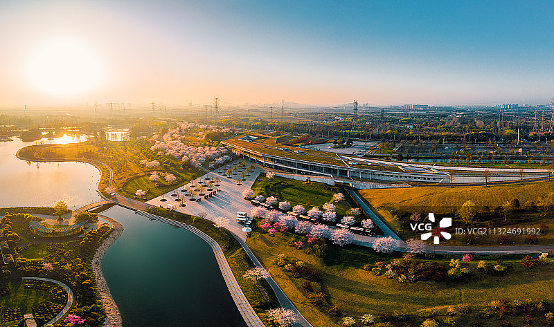 辰山植物园樱花季航拍图片素材