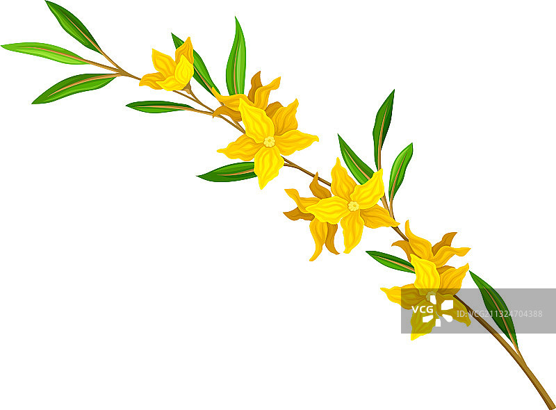 盛开的鲜花枝条图片素材