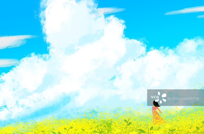 蓝天白云油菜花图片素材