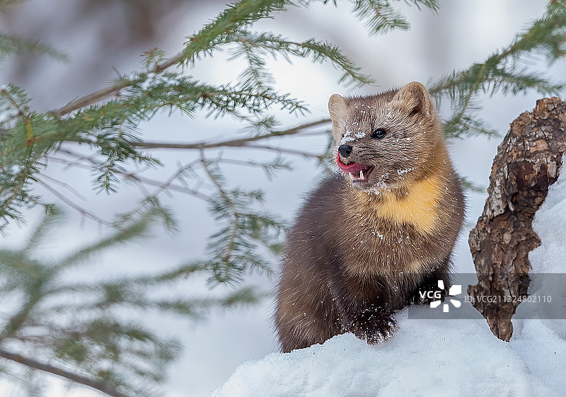 谁能不爱我～图片素材