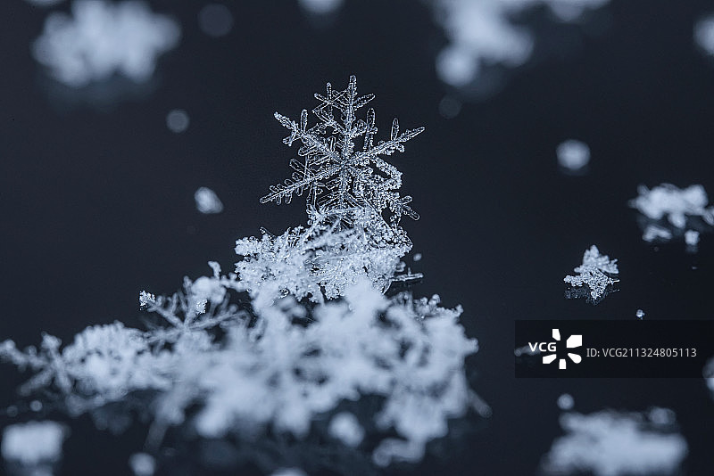 微距雪花图片素材