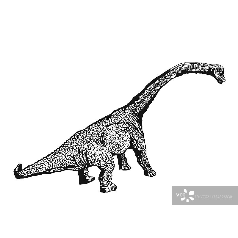 白色背景上孤立的恐龙图形图片素材