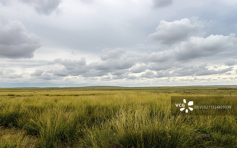 草原秋色图片素材