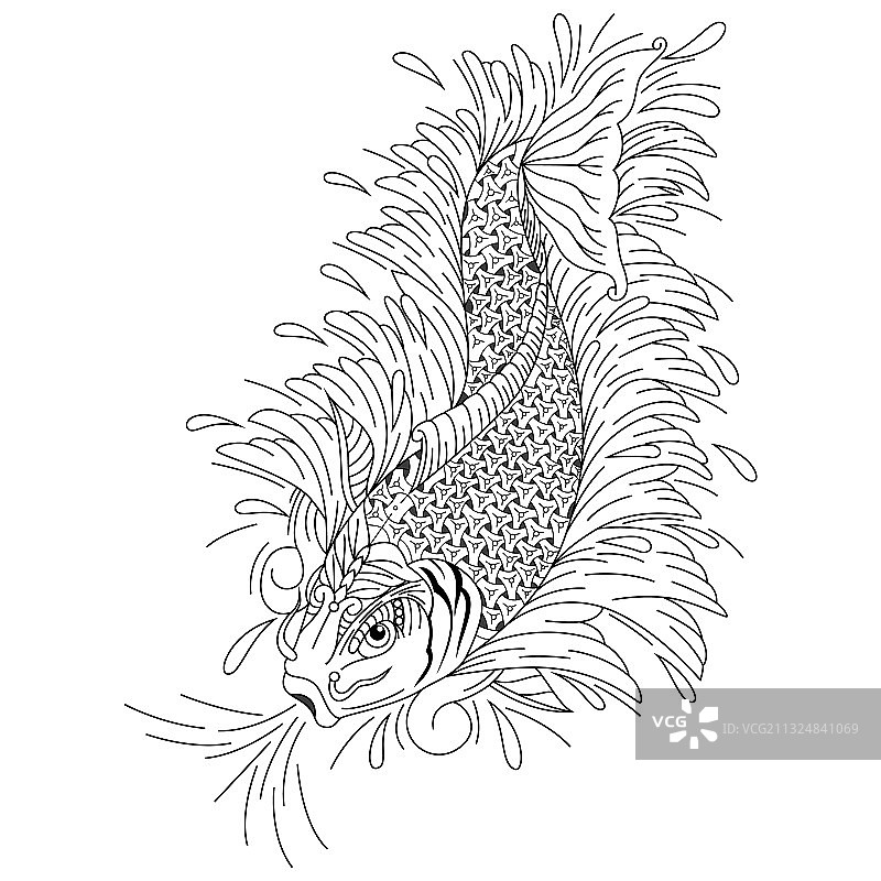 Zentangle风格手绘锦鲤鱼图片素材