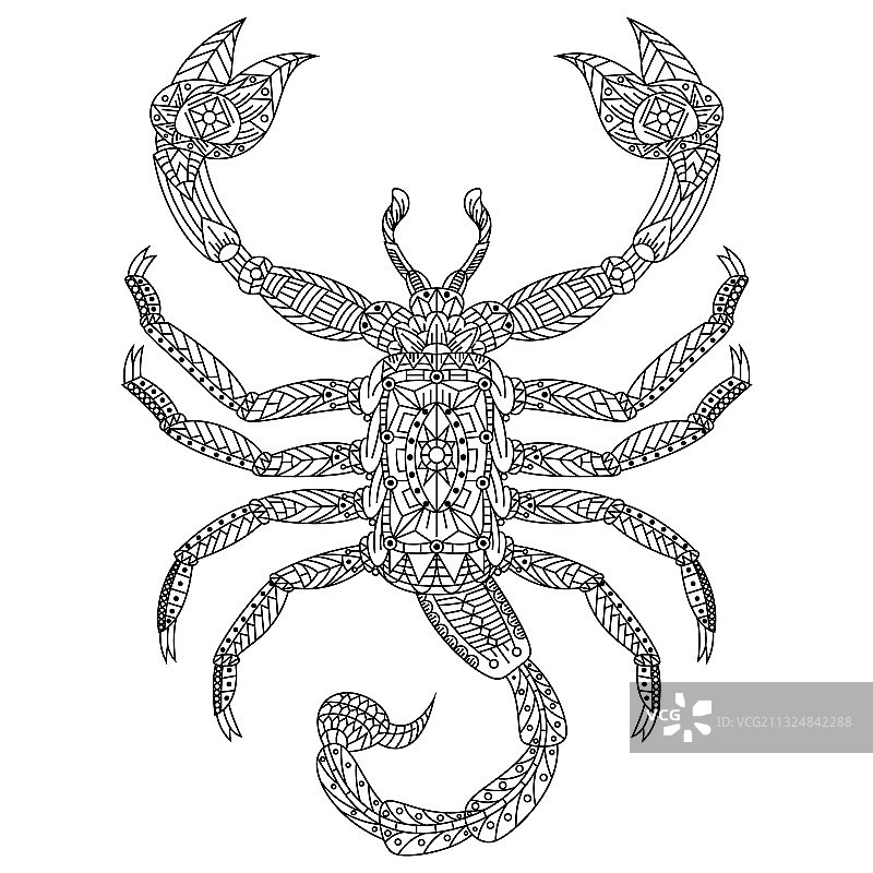手绘禅绕风格蝎子图片素材