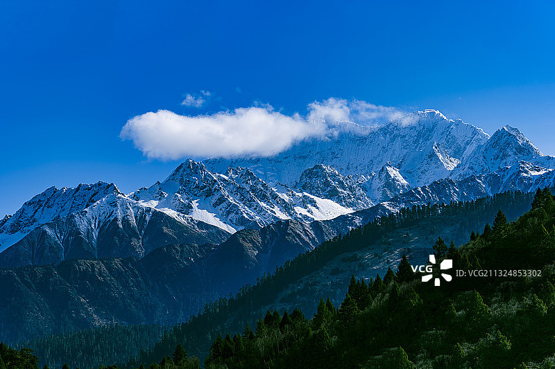 西藏林芝鲁朗的阳光，蓝天，白云，雪山，林海。图片素材