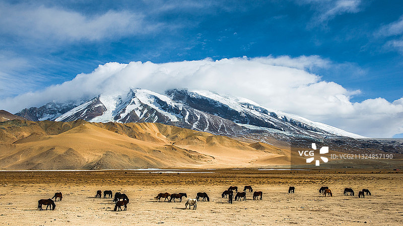 “冰山之父”慕士塔格峰  摄于新疆帕米尔高原图片素材