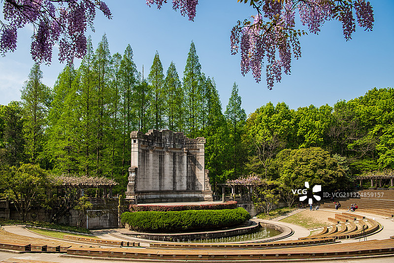 紫藤花开--音乐台图片素材