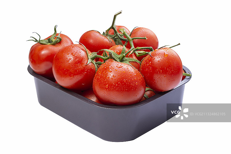 一筐新鲜的刚采摘下来的西红柿图片素材