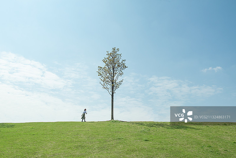 草地上的一棵树和一个人，自然清新背景图片素材