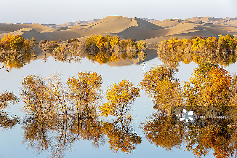 沙漠金秋图片素材