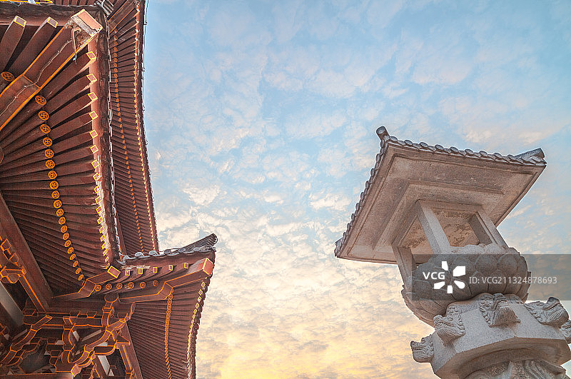 西安青龙寺樱花图片素材