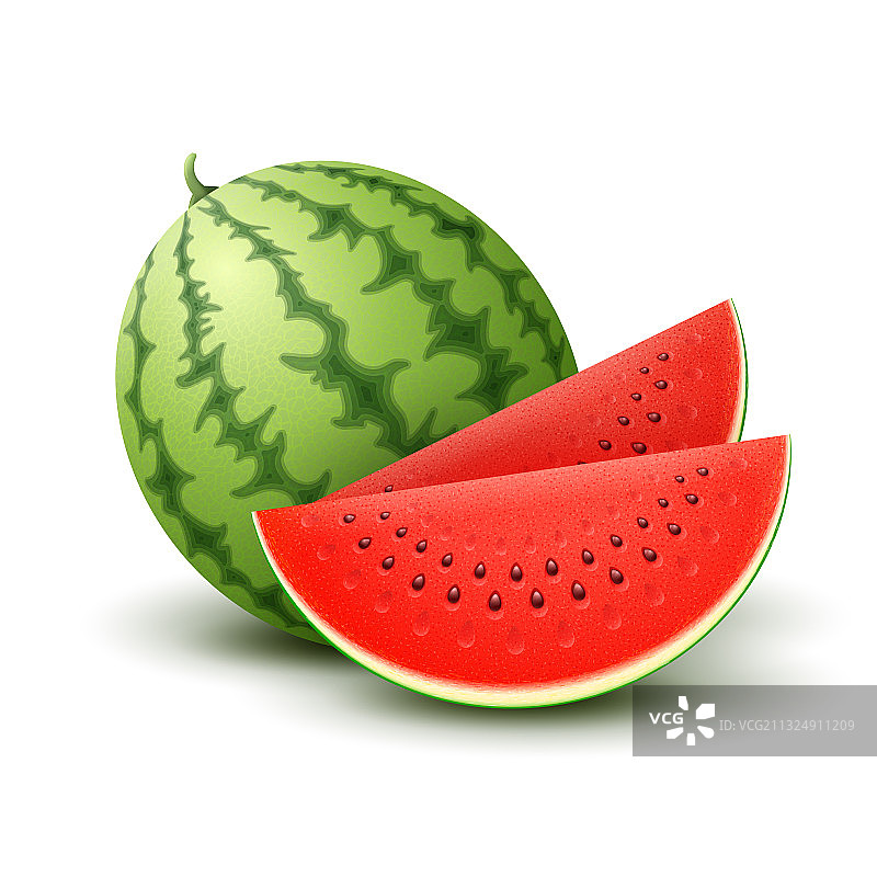 逼真西瓜图片素材