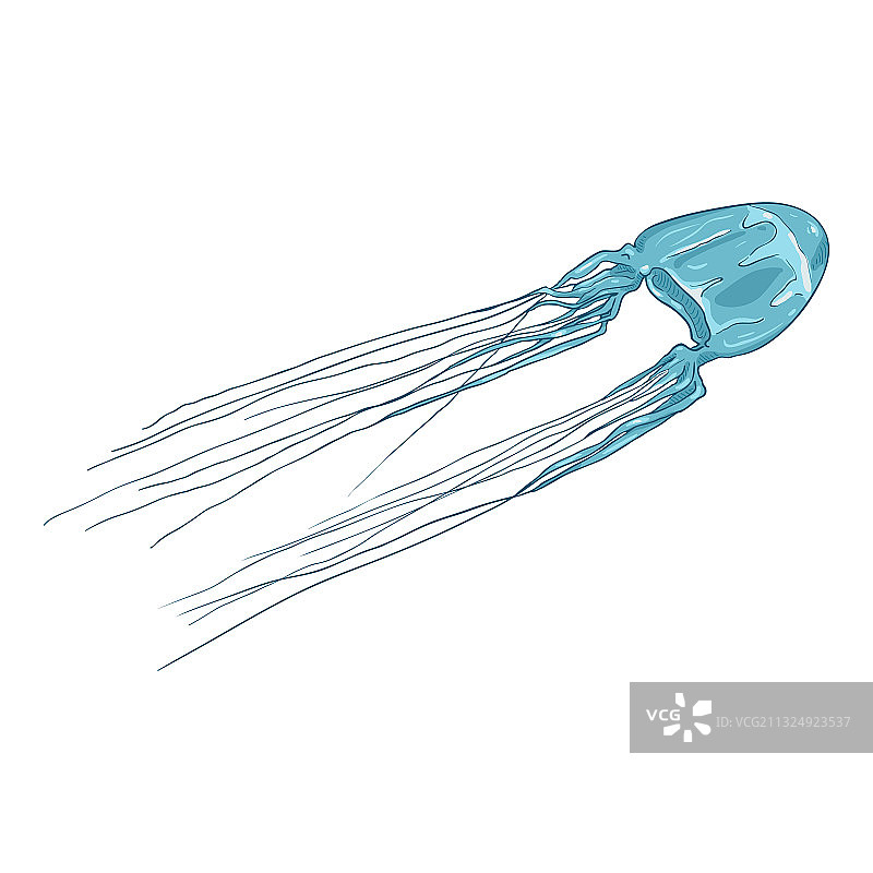 卡通单盒水母图片素材