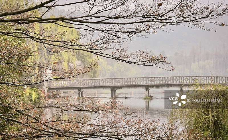 青青世界图片素材