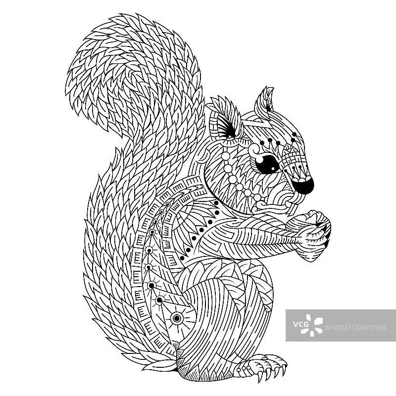 手绘Zentangle风格松鼠图片素材