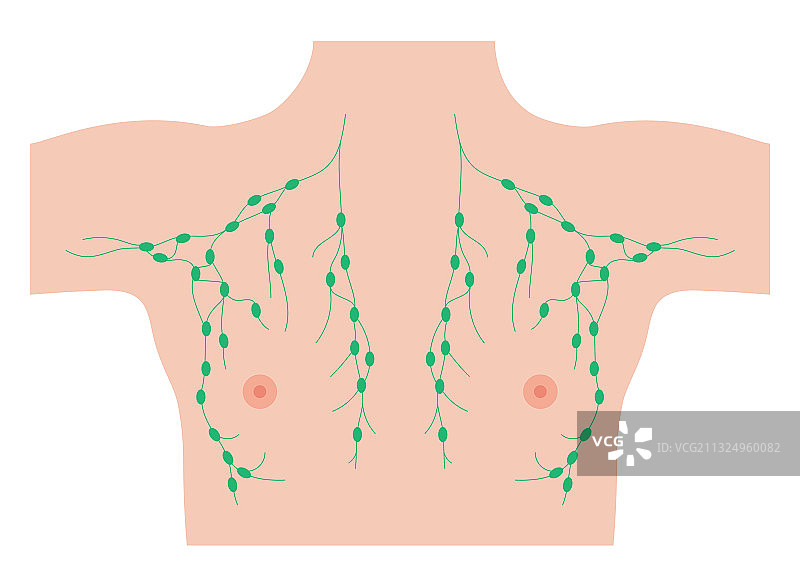 乳腺疾病概念图片素材