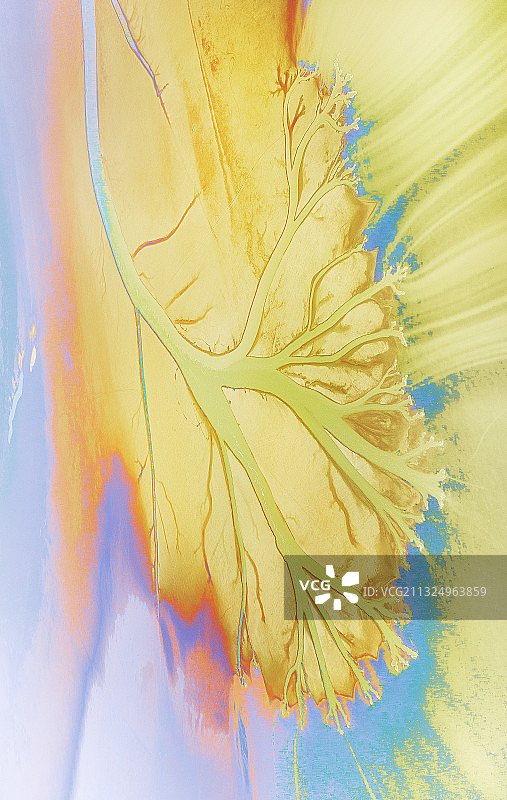 调色盘图片素材