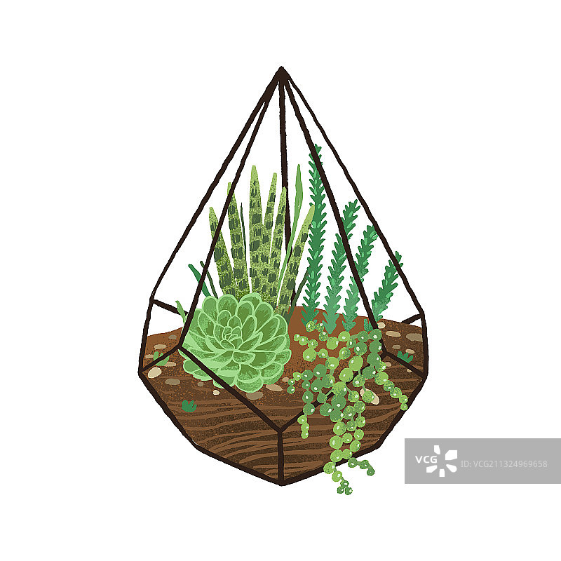 玻璃几何花房与绿色多肉植物图片素材