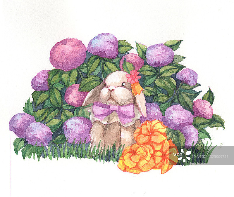 戴蝴蝶结的兔子图片素材