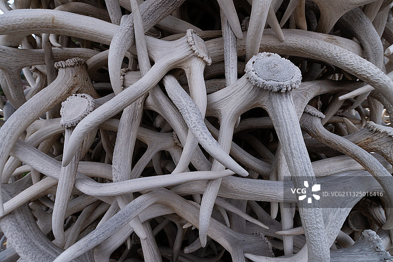 美国怀俄明州杰克逊霍尔图片素材