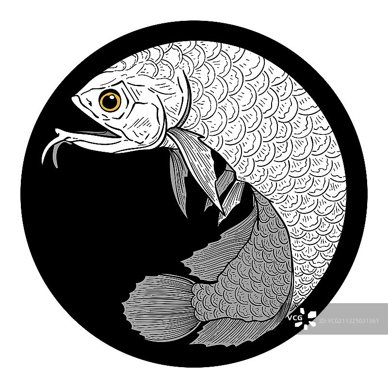 动物-125图片素材