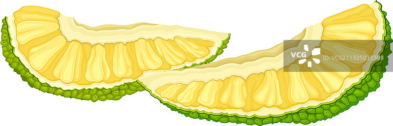 带有绿色疙瘩外壳的成熟菠萝蜜图片素材