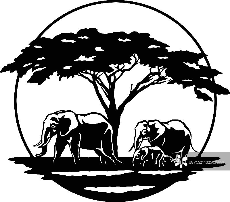 非洲稀树草原野生动物象群图片素材