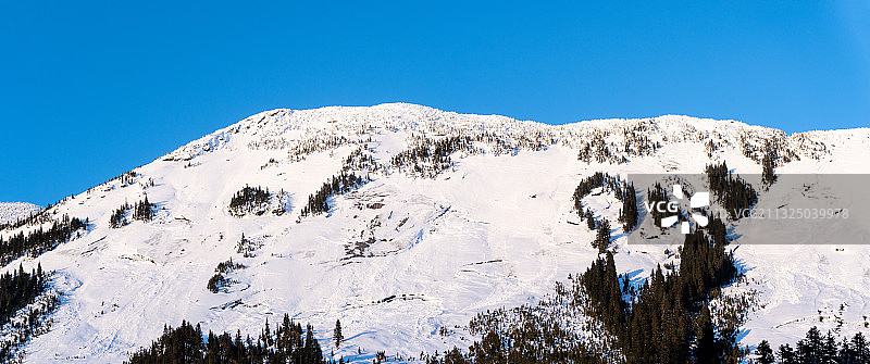 加拿大不列颠哥伦比亚省霍普镇雪山仰视景观图片素材