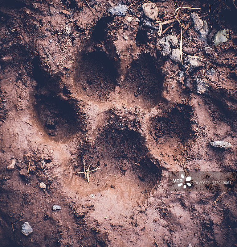 美国明尼苏达州德卢斯高空景观图片素材