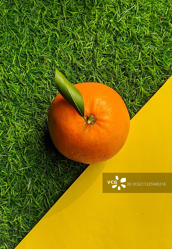 草地上的橙子高角度视图图片素材