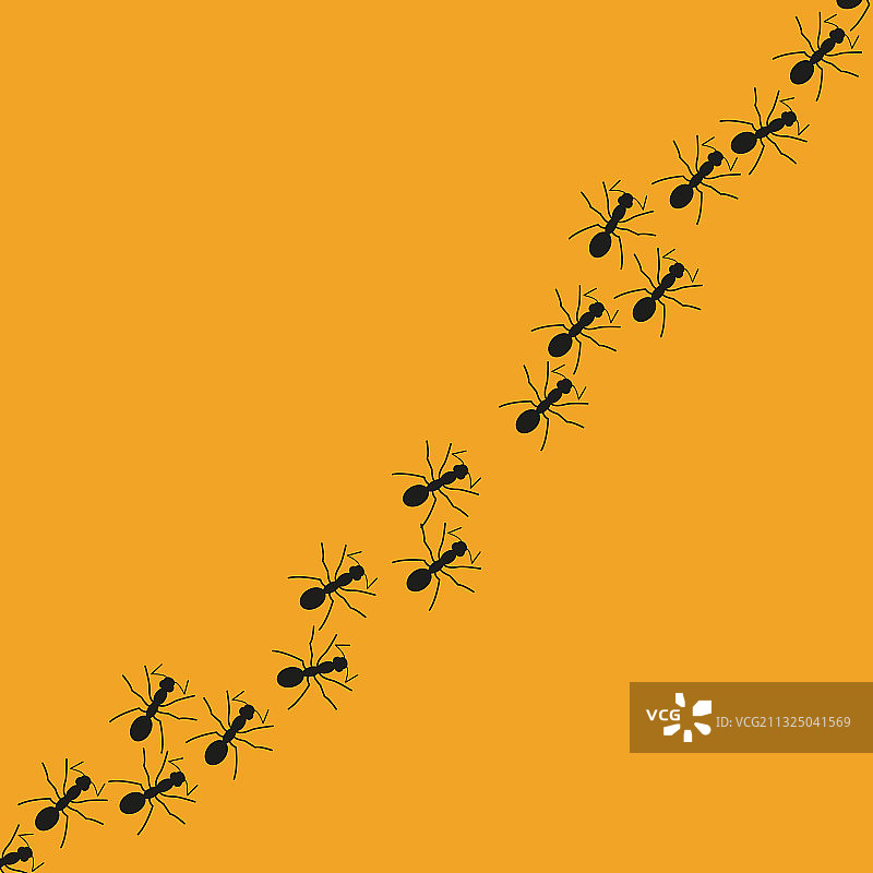 蚂蚁在Y字上的简单小路图片素材