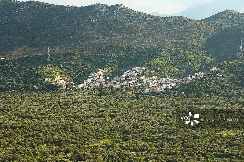 希腊埃隆达的树木景观高角度视图图片素材