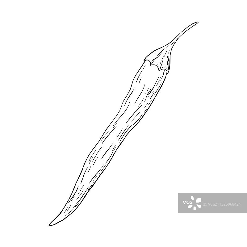 手绘辣椒图片素材