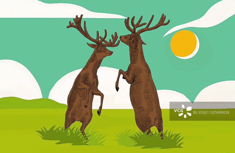 线稿线描鹿元素梅花鹿包装素材插画图片素材