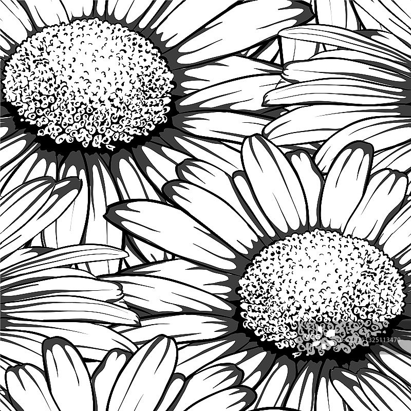 黑白花卉无缝背景图片素材