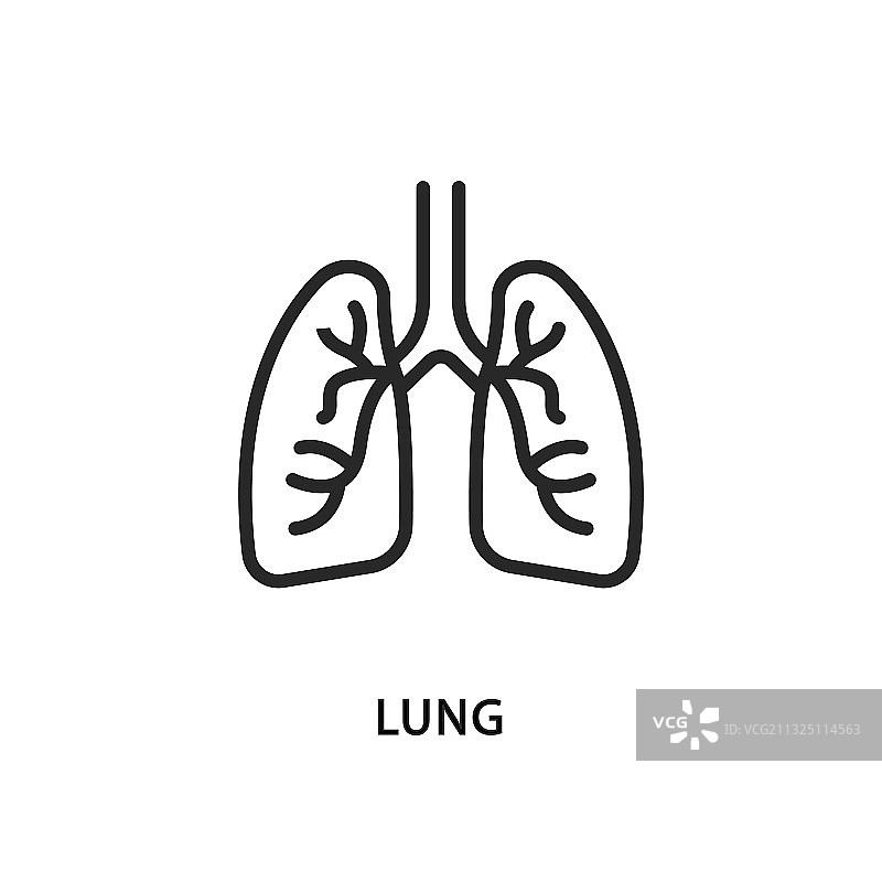 肺部扁平线条图标图片素材