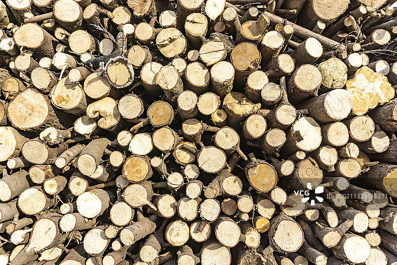 木材纹理素材图片素材