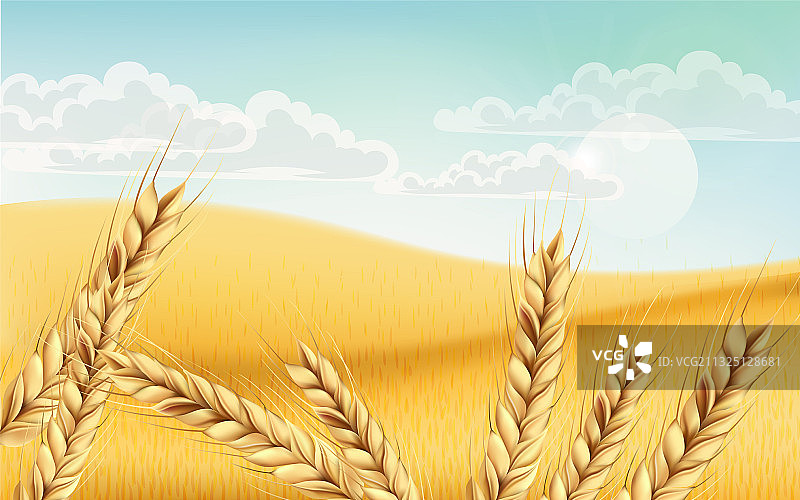 麦田蓝天白云图片素材