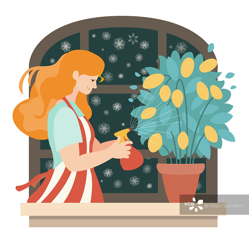 家居植物生长图片素材