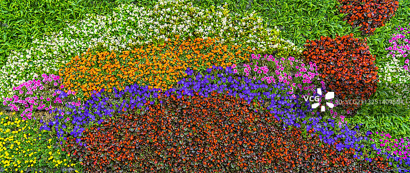 鲜花植物墙背景素材图片素材