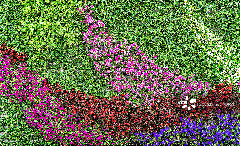 鲜花植物墙背景素材图片素材