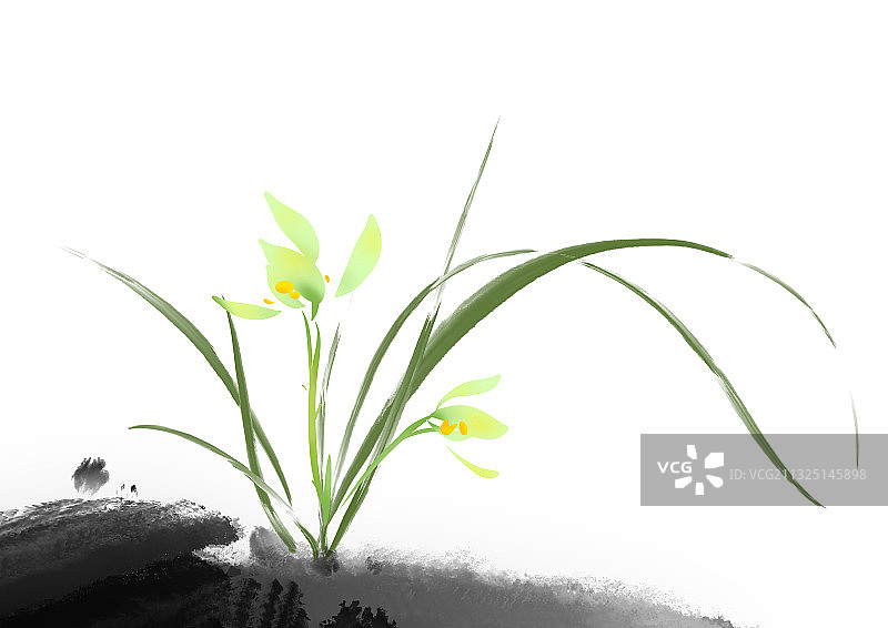 春天传统文化海报设计装饰元素插画兰花图片素材