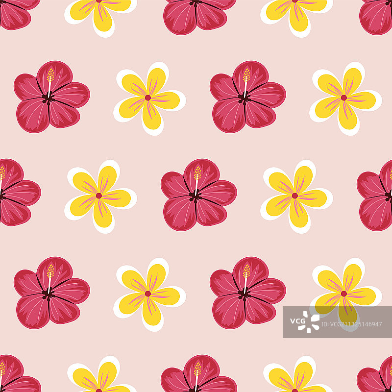 手绘鸡蛋花图片素材