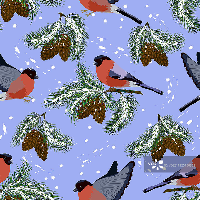 小鸟和圣诞树枝图案图片素材