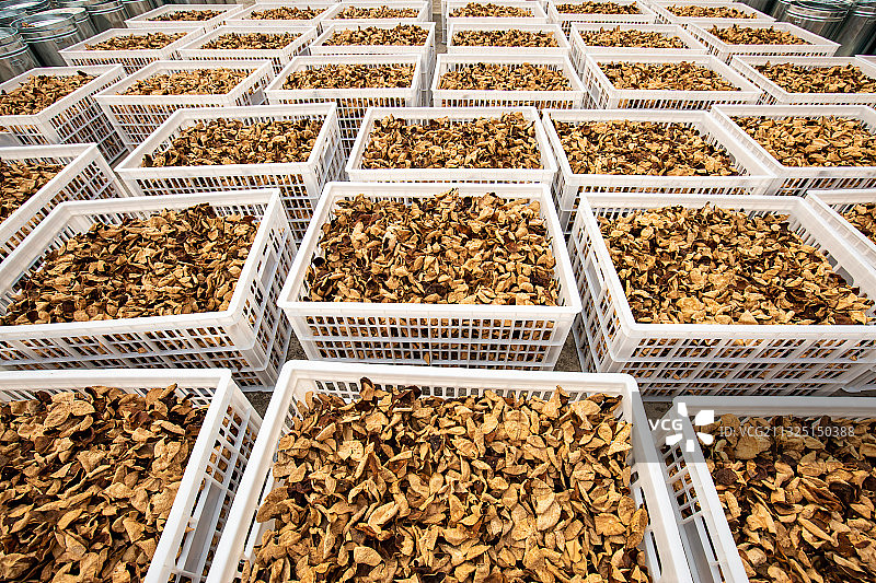 广东新会陈皮图片素材