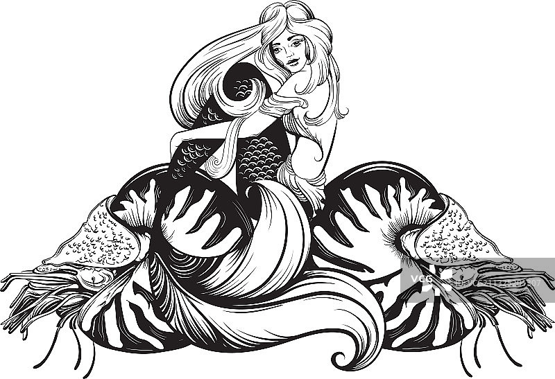 手持鹦鹉螺的美人鱼图片素材